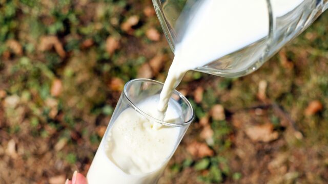 【牛乳と豆乳の違いとは？】女性ホルモンの活性化に抜群の効果！！