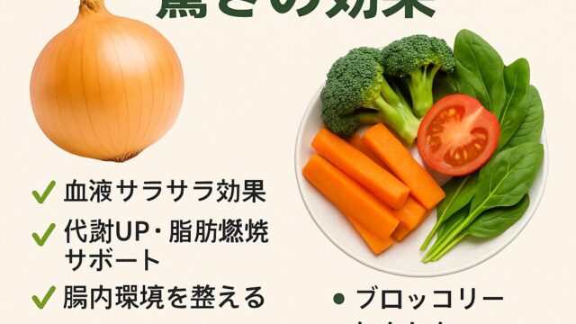 【たまねぎと野菜の驚きの効果】毎日取り入れたい健康パワーとは？｜佐賀駅前女性専用ジム